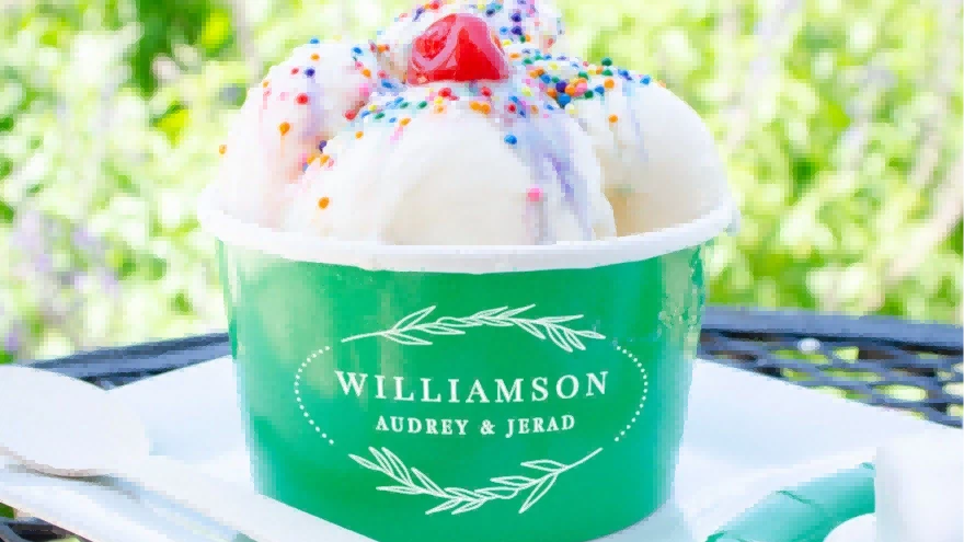 ice cream 1 ice cream 1